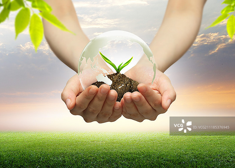 绿色，自然，新芽，回收图片素材