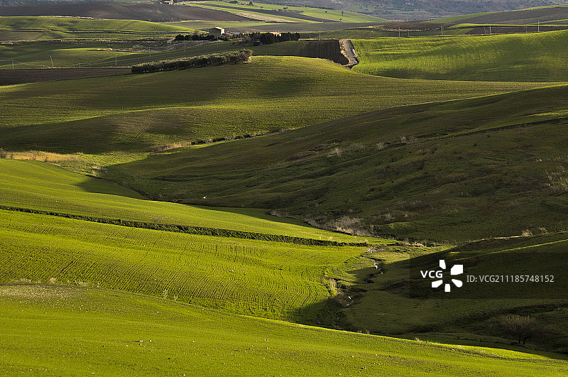 丘陵地形上的田野景色图片素材
