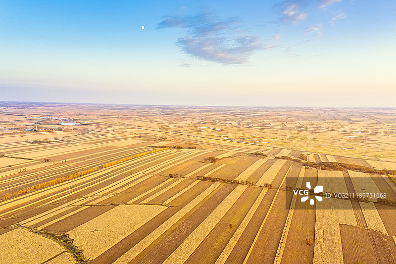 东北稻田丰收季图片素材