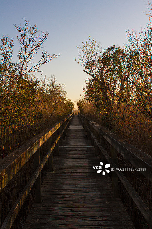 木板路散步图片素材