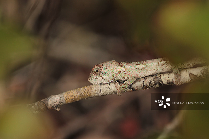 我来找茬图片素材