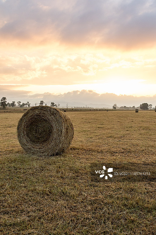 农田里的干草卷图片素材