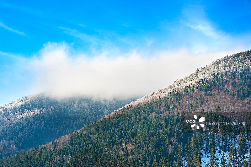 喀尔巴阡山脉的冬季图片素材