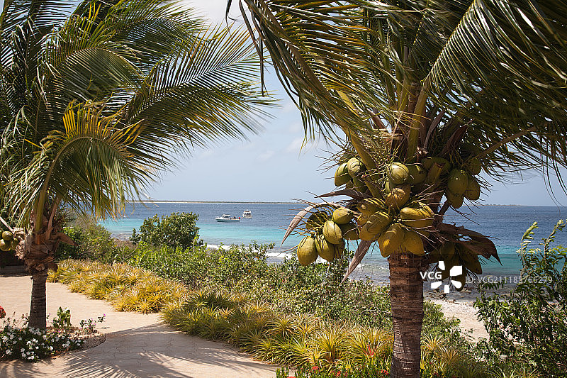 博内尔岛加勒比海岛屿风光图片素材