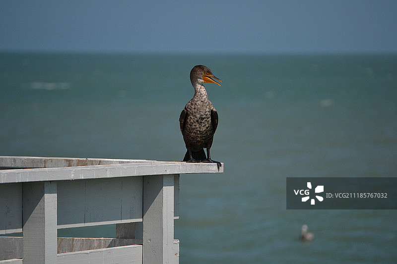 尽收眼底图片素材