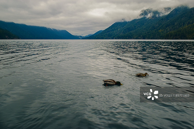 华盛顿州奥林匹克国家公园新月湖图片素材