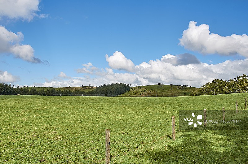 围栏式牧场，以蔚蓝的天空为背景，绿草如茵图片素材