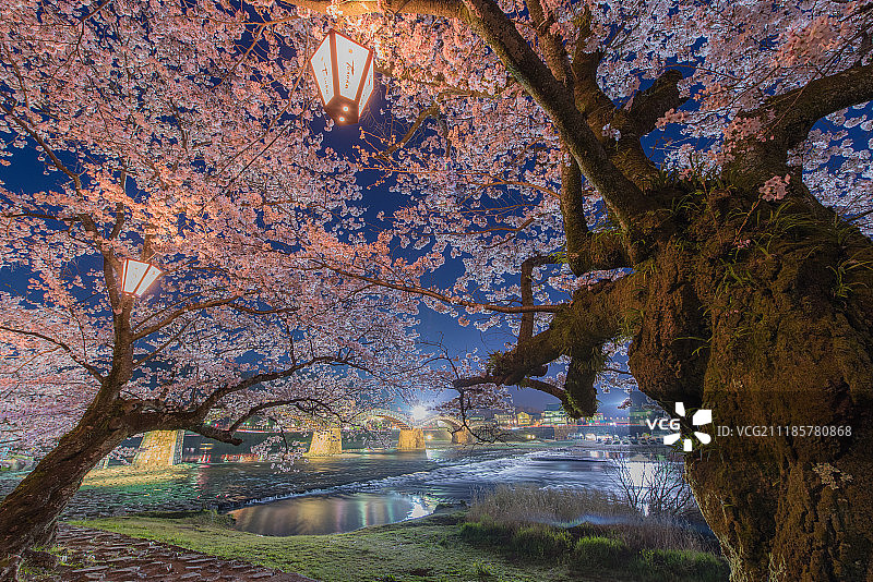 诺克马尼森林图片素材