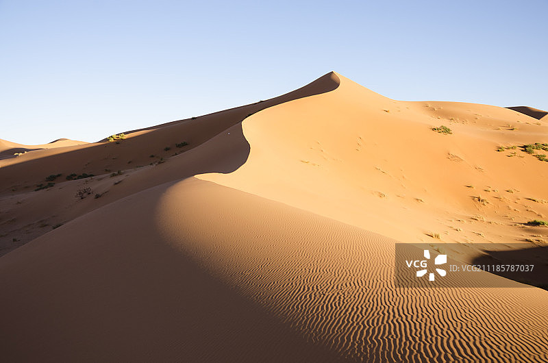 撒哈拉沙漠图片素材