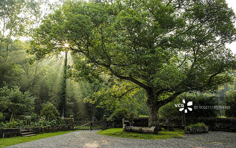 隐藏的宝石图片素材