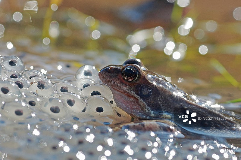 全是我的图片素材