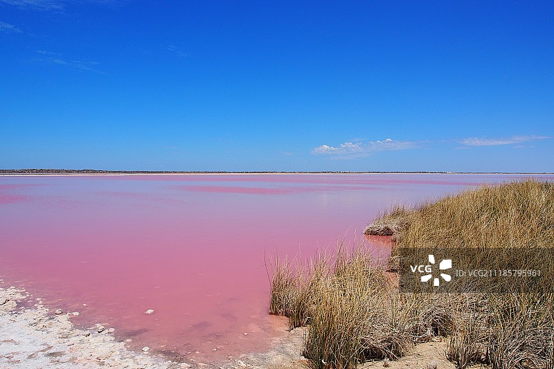 蓝天下的粉色湖泊图片素材