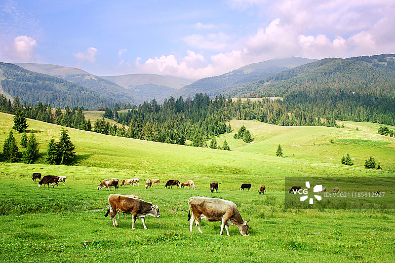 喀尔巴阡山脉图片素材