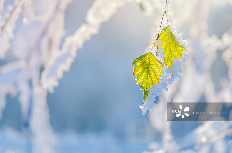 冬季服装图片素材