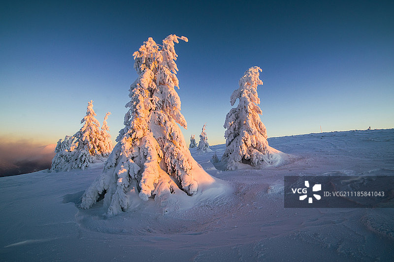 绚丽多彩的冰雪世界图片素材