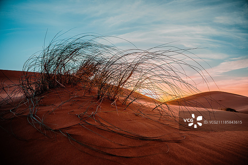 金色沙滩图片素材