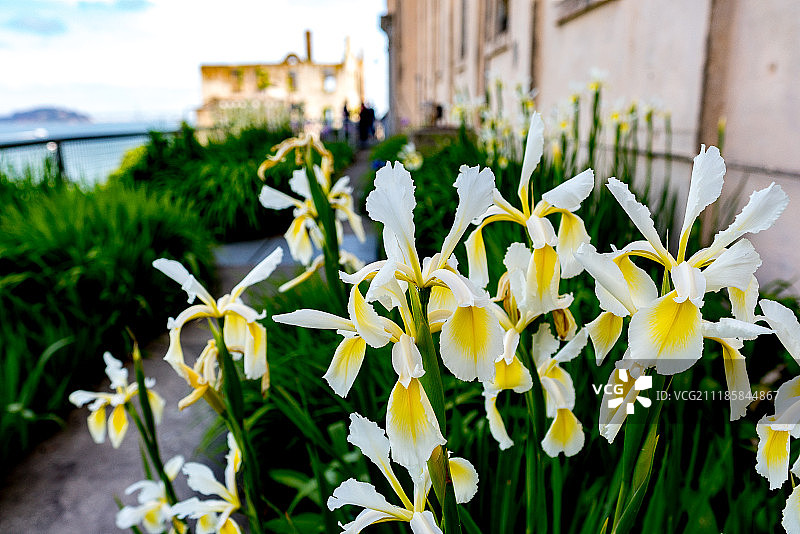 恶魔岛图片素材