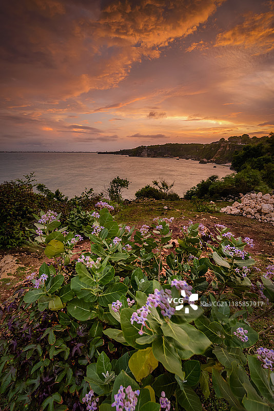巴兰岸海滩悬崖日出图片素材