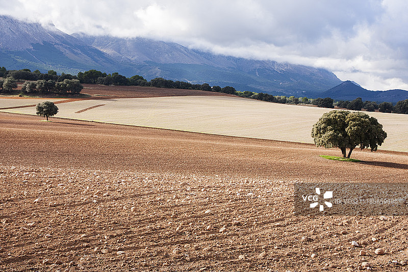 安达卢西亚的阴天图片素材