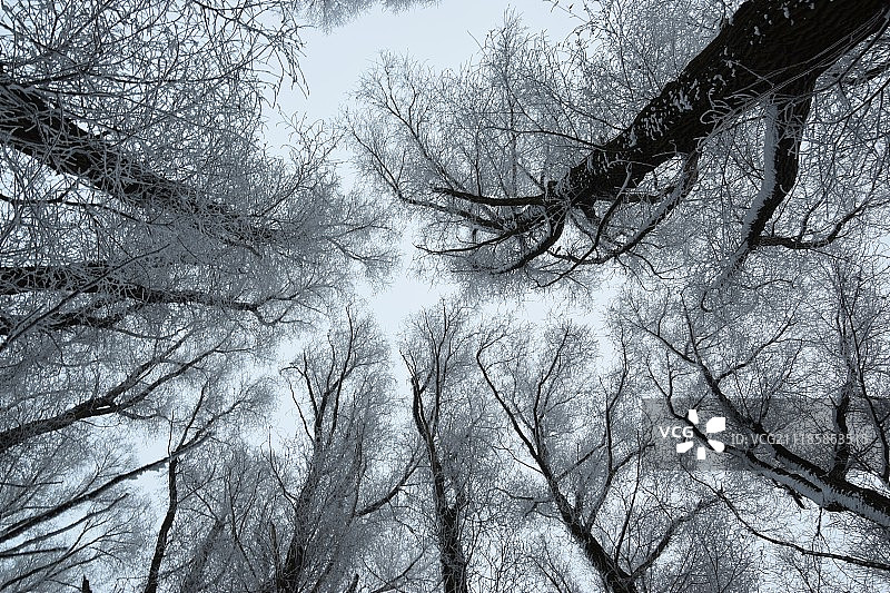 直冲云霄图片素材