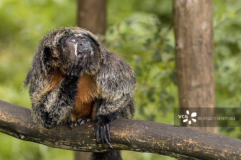 不要想太多图片素材
