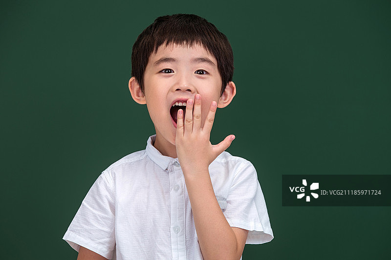 可爱的小学男生图片素材