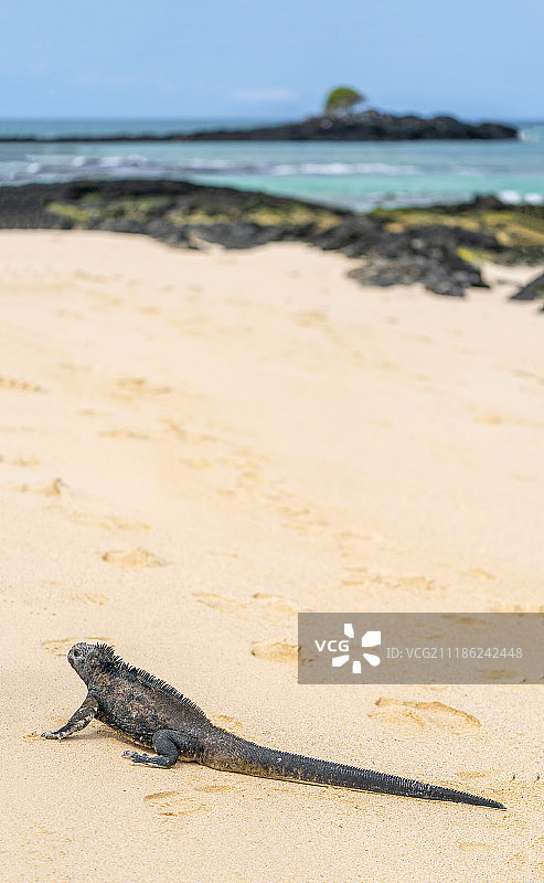 烈日沙滩图片素材