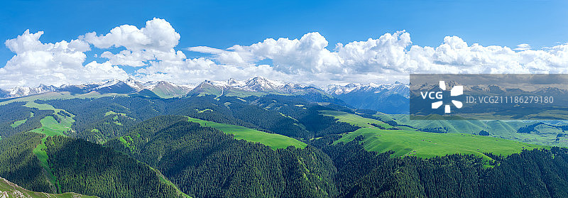 世界自然遗产 美丽的新疆喀拉峻高山草原图片素材