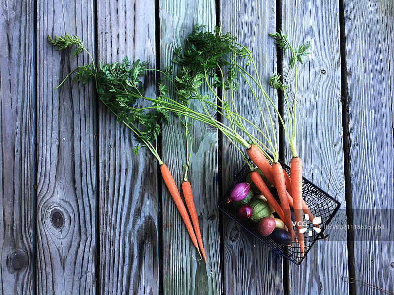 胡萝卜有机蔬菜图片素材