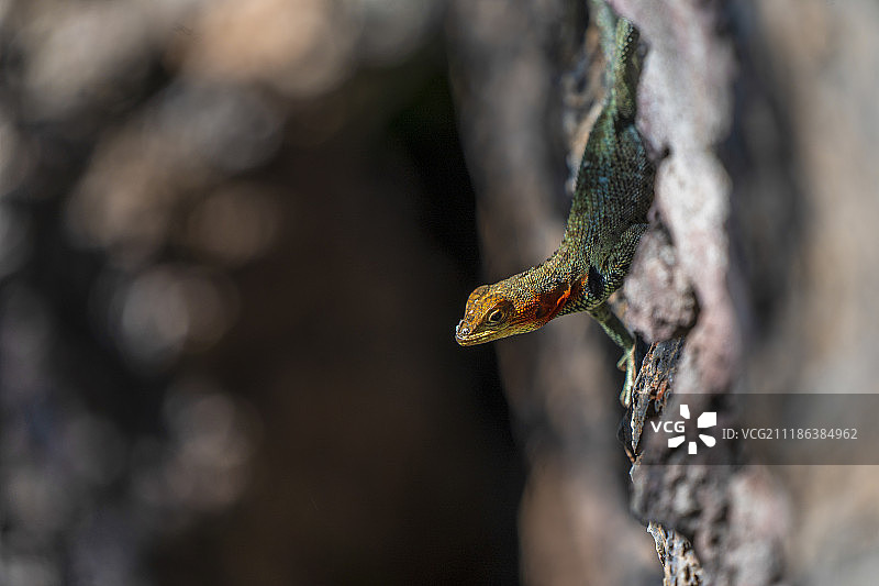 倒挂熔岩图片素材