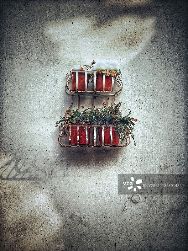 圣诞礼物和盆栽图片素材