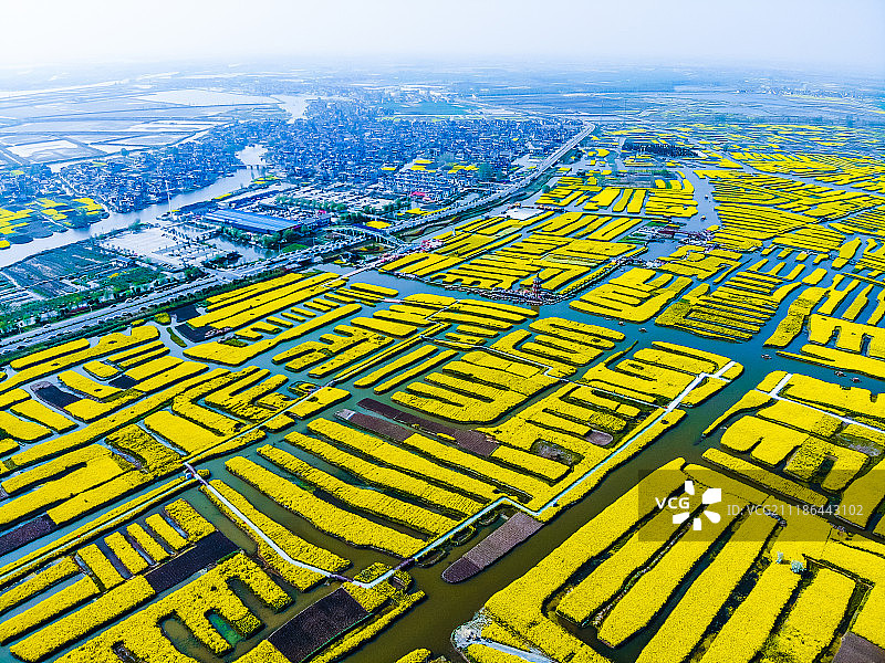 江苏兴化千垛风景区风光图片素材