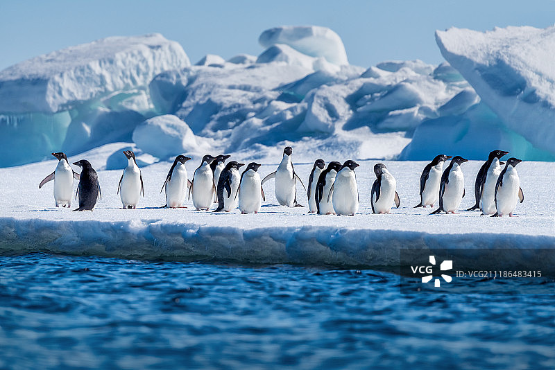 列队欢迎图片素材