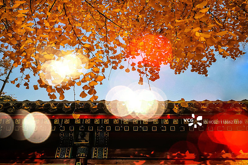 北京秋日暖阳图片素材