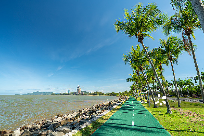 沙巴州海边的椰子树林图片素材