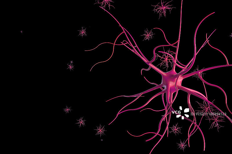 3D神经细胞图片素材