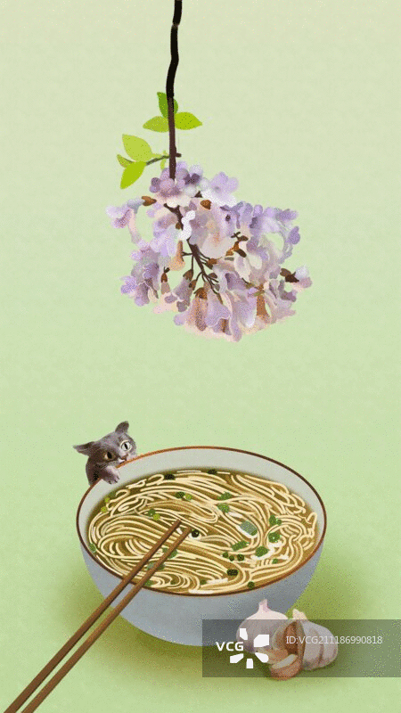 24节气夏至凉面图片素材