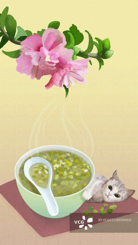 24节气小暑绿豆粥图片素材