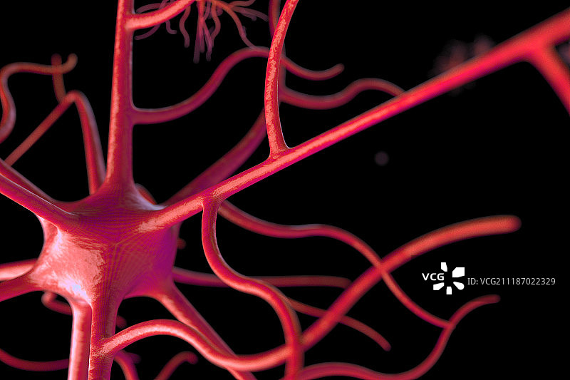 3D细胞组织图片素材