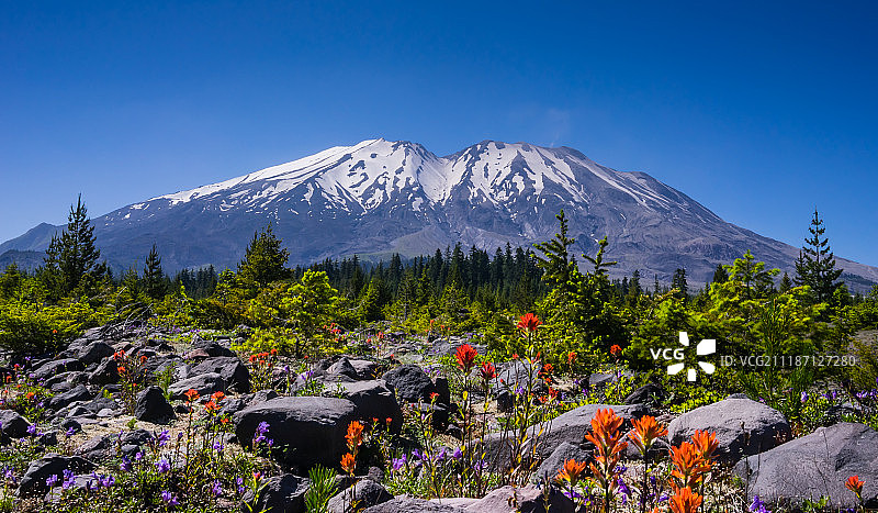 圣海伦斯山图片素材