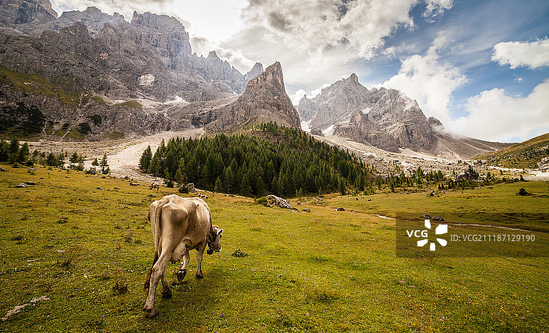 山的场景图片素材