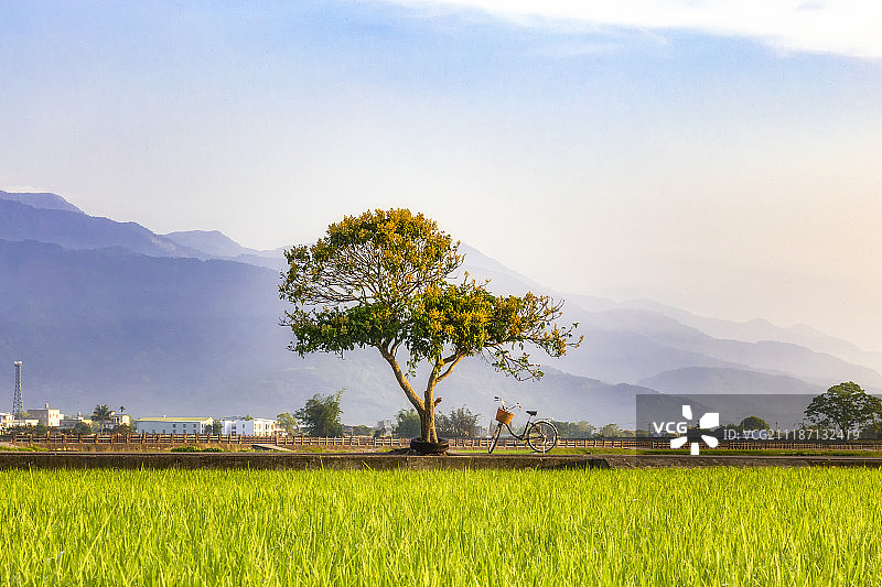台湾台东池上乡图片素材