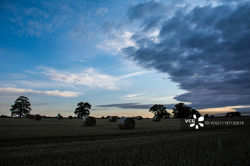 有Bales图片素材