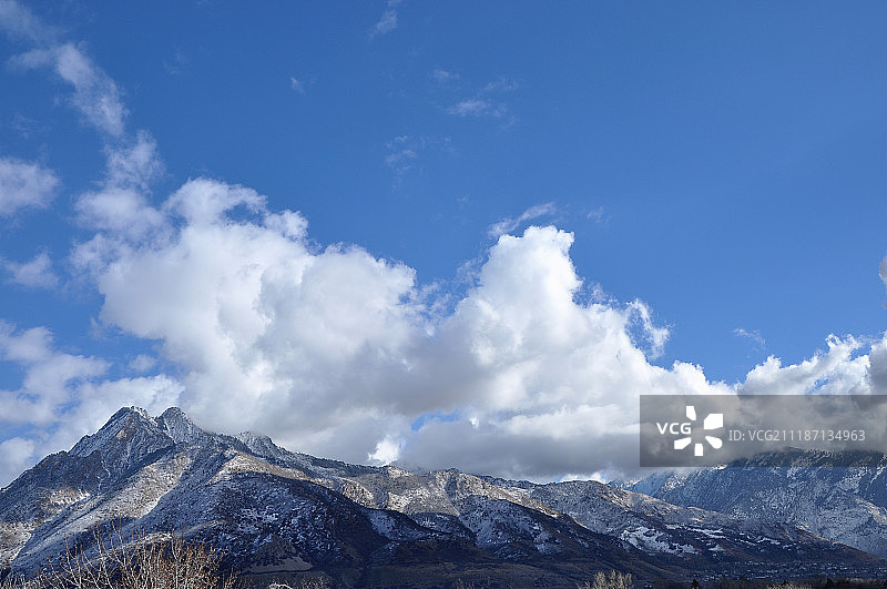 蓄势待发的瓦萨奇图片素材