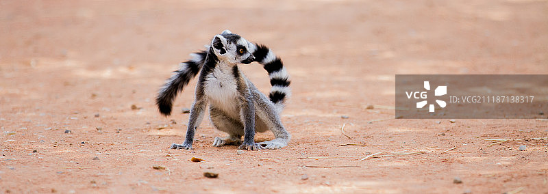 自然图像图片素材