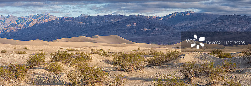 沙丘上的行人全景图片素材