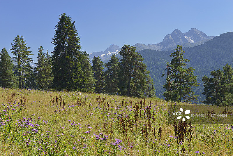 高加索山脉中的美丽山谷和山峰图片素材