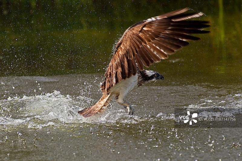 一触即发图片素材