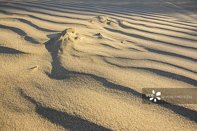 风吹过的海滩图片素材