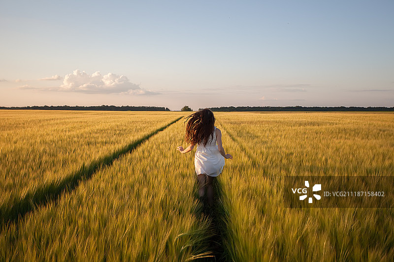 在黄色麦田里奔跑的女人图片素材